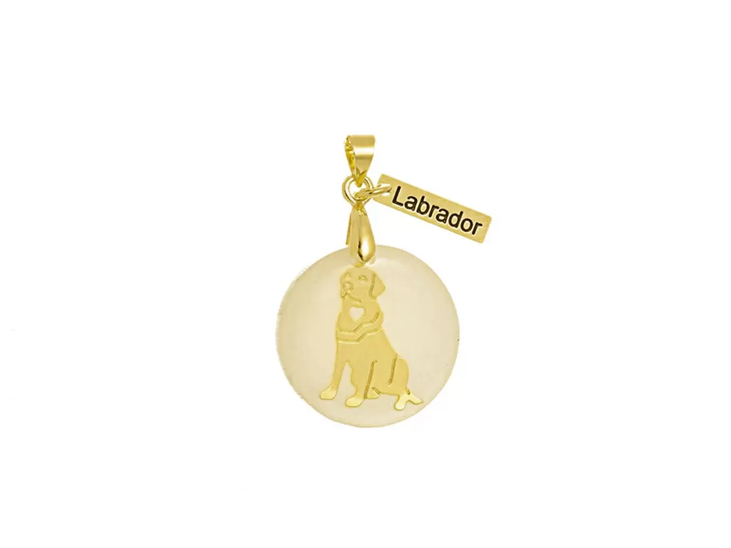 Pingente Labrador Madrepérola Semijoia Folheada Ouro 18k